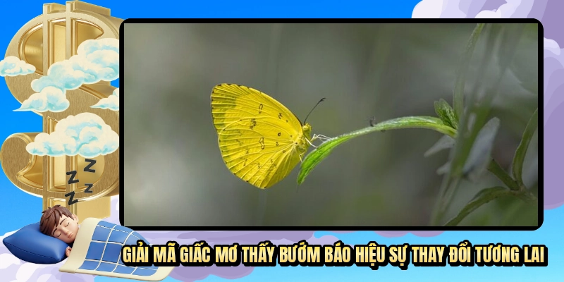Giải mã giấc mơ thấy bướm báo hiệu sự thay đổi tương lai